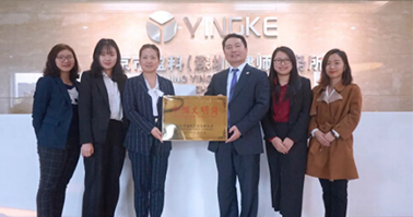 杜芹家族律师团队获2017年度福田区巾帼文明岗称号