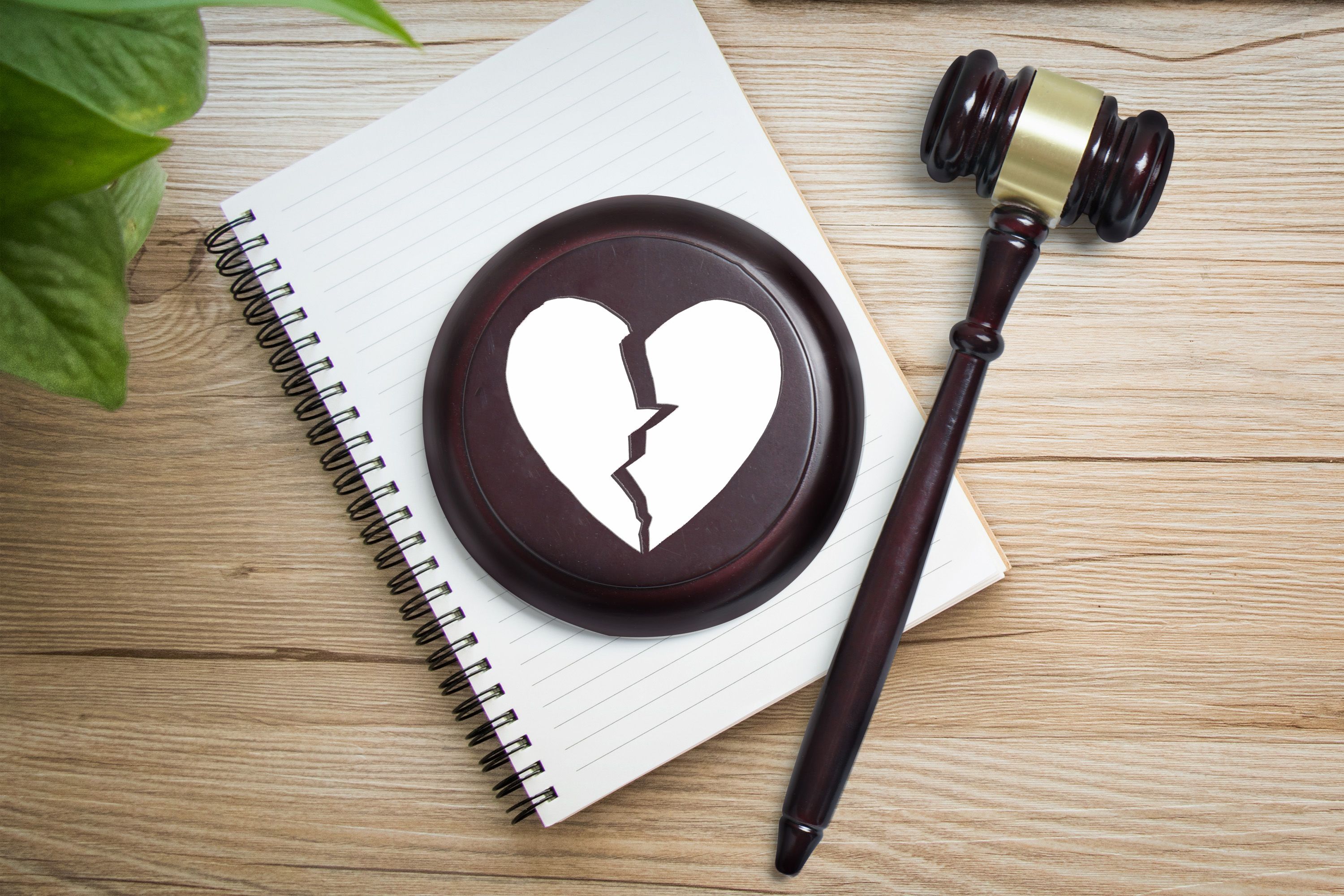 离婚起诉书要具备什么内容？